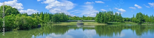 晴天の日に水辺に広がる豊かな森と洋風回廊のパノラマ風景