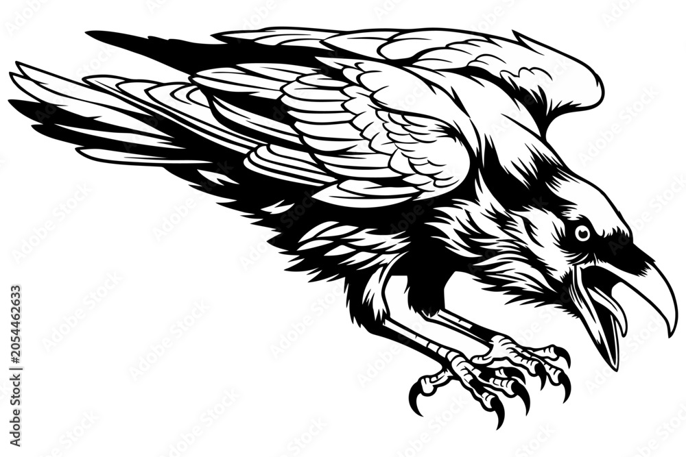Fototapeta premium Detailed black and white vector illustration of an aggressive raven with folded wings leaning forward to attack. Gothic tattoo design or mascot logo showing a creepy bird with open beak