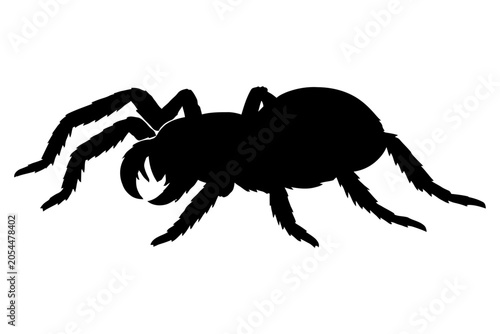 Фотография Ink Spider Illustration, Black silhouette of a spider with eight legs, symbolizing mystery and precision