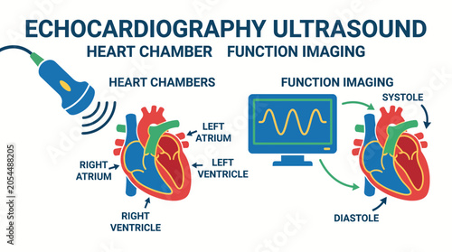 Fotografija Echocardiography Ultrasound Heart Chamber Function Imaging Diagram