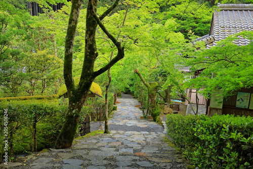 Jakko-in Temple, a venerable Buddhist temple in Ohararaikoincho, Sakyo Ward, Kyoto, Japan