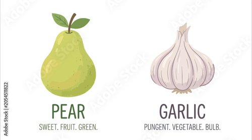 Konstfotografi Green pear and garlic bulb with descriptive educational labels