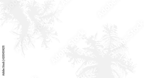 Foto Intricate shadows of bare tree branches cast on a bright white surface