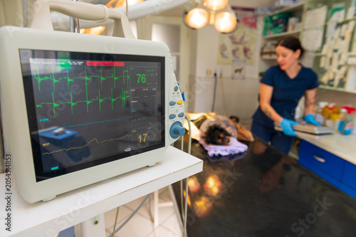 Female veterinarian operating little dog in the animal hospital