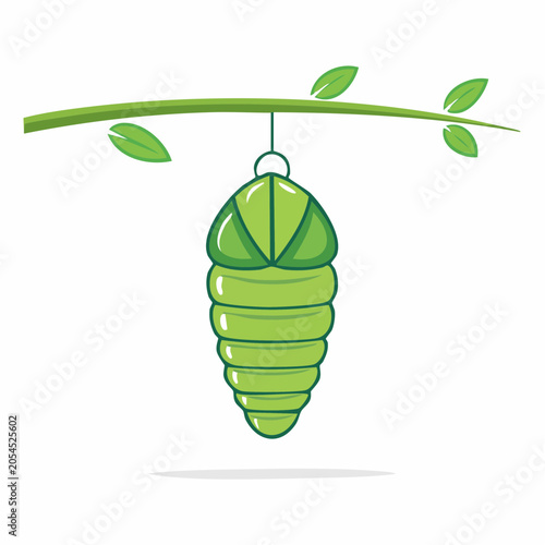 Green Chrysalis Hanging from a Branch