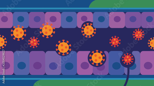 Bilde på lerret Respiratory Syncytial Virus Infecting Bronchiolar Epithelial Cells