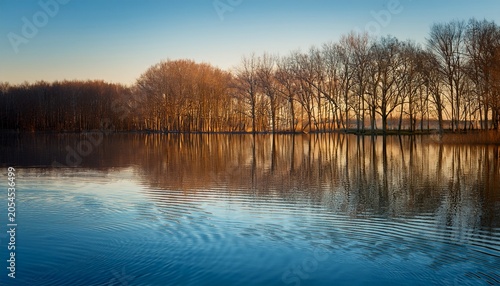 Leafless Forest Reflected In Calm Blue Lake At Golden Hour Gentle Ripples Forming Organic Abstract Patterns On Water Surface