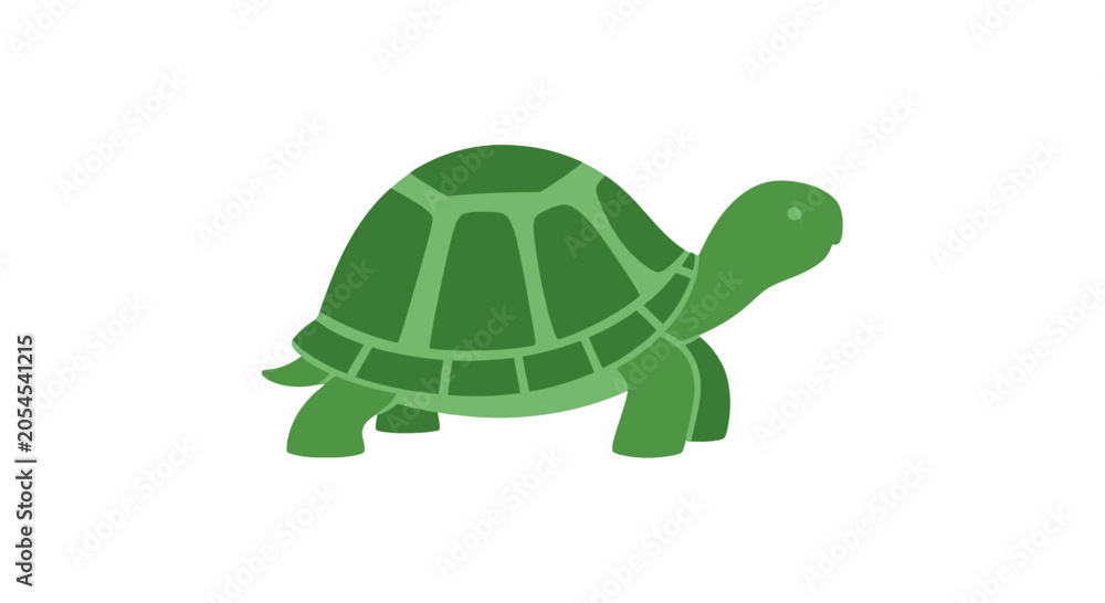 Εκτύπωση καμβά Green Turtle Illustration on White Background.