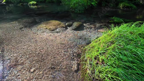 夏でも涼しい菊池渓谷