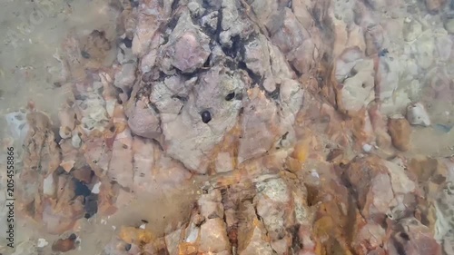 Close-up of a large textured rock formation with holes and barnacles sitting in crystal clear shallow coastal water.
