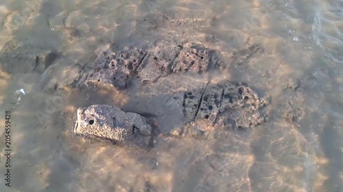 Dark, textured rocks with unique holes and grooves sitting on a sandy seabed submerged in clear shallow water.
