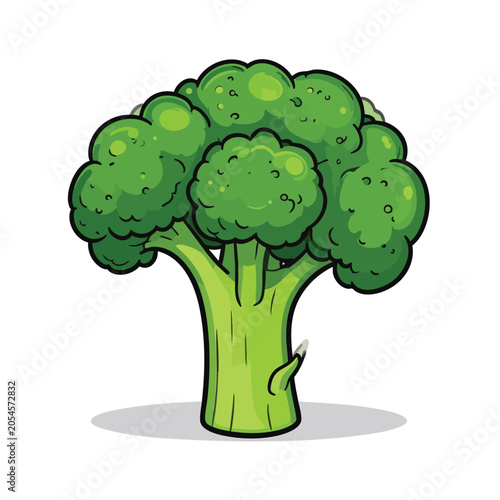 Fresh green broccoli vegetable isolated illustration.