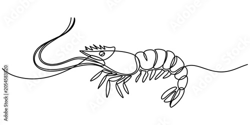 Photography Shrimp drawing made with a single continuous black line Vector, illustration