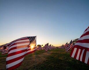 American Flags Display at Memorial Event During Sunset