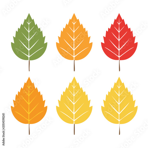 Collection of flat design autumn leaves in various colors