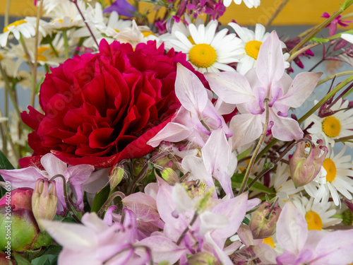 Close-up of a vibrant mixed flower bouquet featuring a deep red peony in full bloom, delicate pale pink columbine flowers, and white oxeye daisies with yellow centers