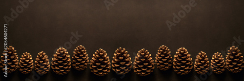 Pine cones holiday banner in dark brown tones with copy space. Minimalist panoramic autumn or winter background for Christmas, Thanksgiving, sale and web header design.