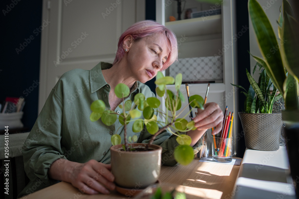 Fototapeta premium Focused mature woman plant lover inspecting potted Pilea peperomioides plant condition, concerned female gardener taking care of indoor houseplant, sitting at table touching looking at plant foliage