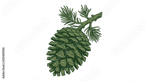 Konstfotografi Pinecone on an evergreen branch with coniferous needles