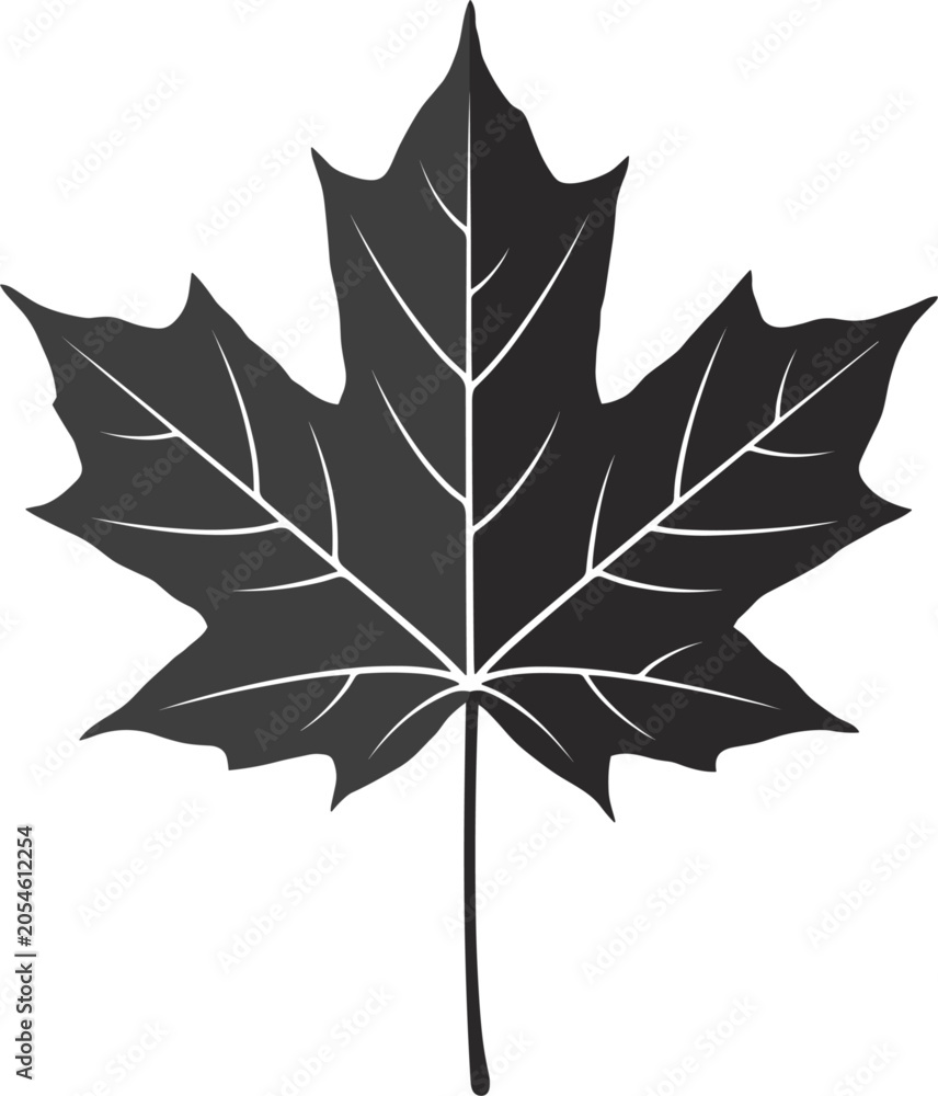 Fototapeta premium Single black maple leaf with white veins silhouette icon mockup, autumn foliage vector illustration