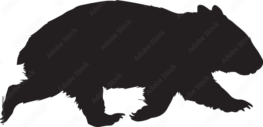 Fototapeta premium Wombat Silhouette Line Art Bold Outline Australian Marsupial Vector Illustration