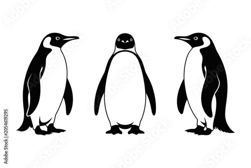 Three emperor penguins standing side by side on white background