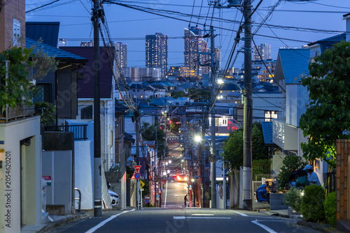 Tableau sur toile 東京都大田区東雪谷の坂道から望む武蔵小杉のタワーマンション夜景
Night View of Musashi-Kosugi Tower Apartments fr