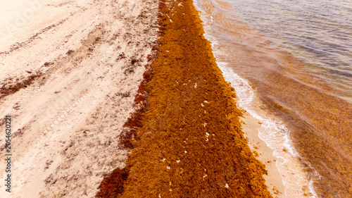 Photos Aerial photo sargassum on Fort Lauderdale Beach Florida