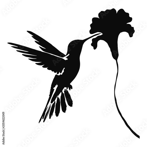 Hummingbird feeding on a flower silhouette vector graphic, vector animal icon, vector, vector art