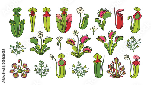 Colorful vector illustration collection of various exotic carnivorous plants Venus flytrap and pitcher