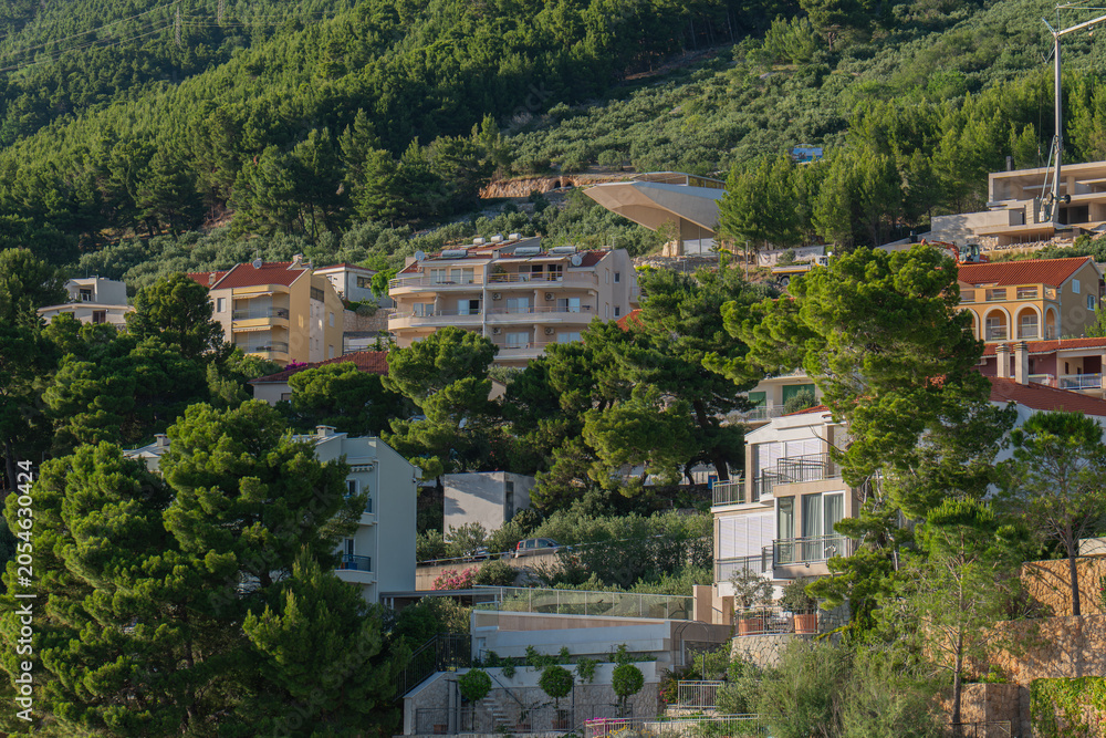 Fototapeta premium Houses and apartments on a green hill surrounded by pine trees in Makarska Riviera, Croatia