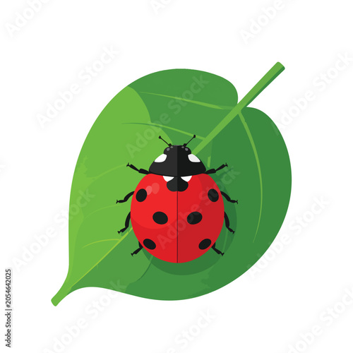 Flat vector illustration of a red ladybug sitting on a green leaf.