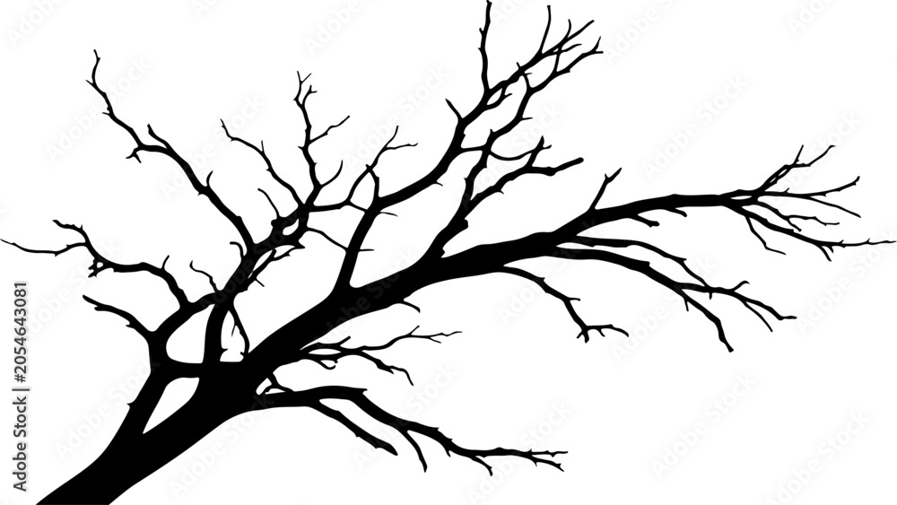 Fototapeta premium Black tree silhouette, bare branch, vector graphic, white background, minimalist design
