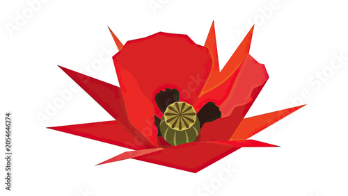 Tableau sur toile Vibrant red poppy with a detailed seed pod and sharp petals
