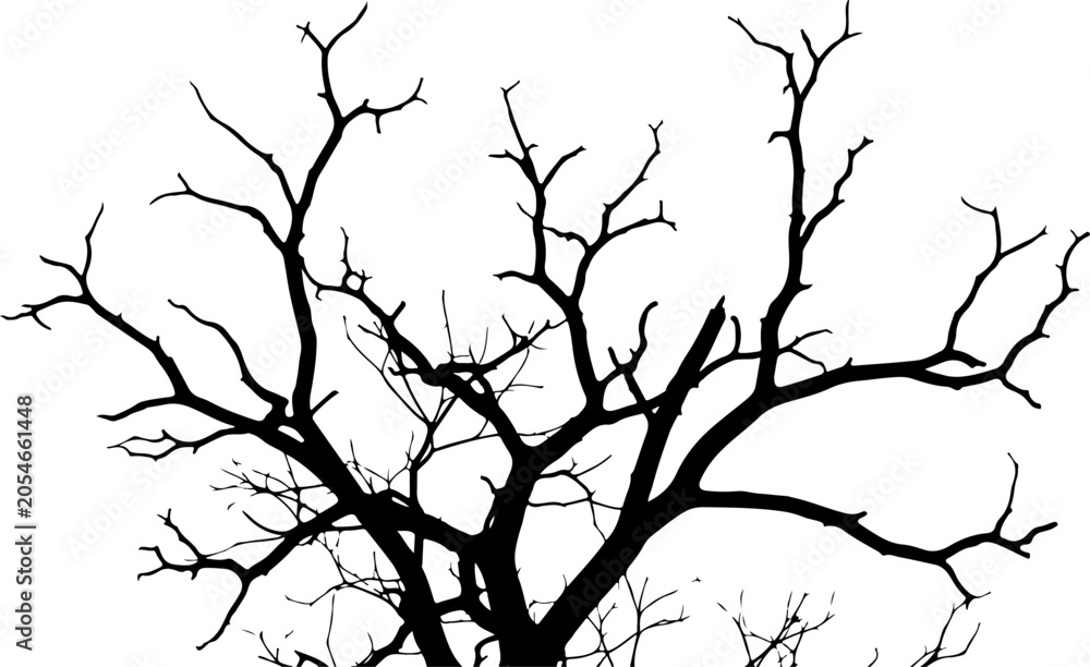 Obraz premium Bare tree branches, black silhouette, winter icon, vector graphics