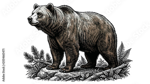 Konstfotografi Large Brown Bear Standing Alone.