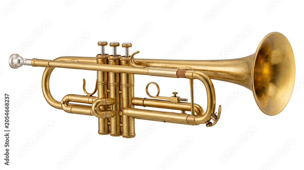 Fototapeta premium Golden trumpet brass musical instrument isolated on transparent background png professional jazz orchestra.