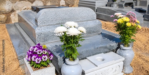 A quiet graveyard under the sunlight