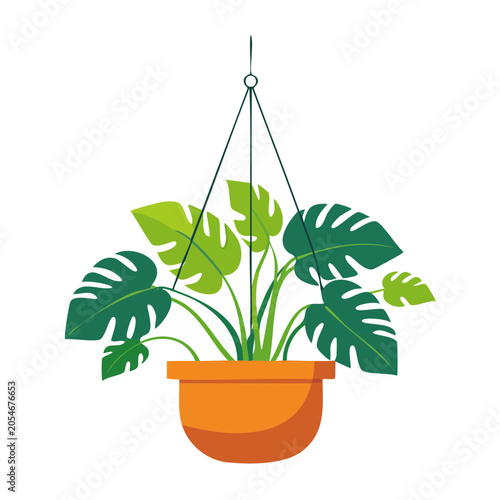 Flat Illustration of Monstera Hanging Plant