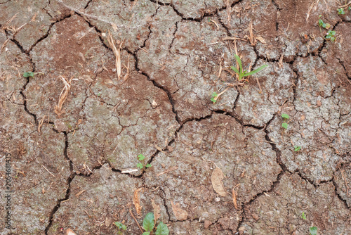 Tableau sur toile Detailed close-up of parched and cracked earth texture, showing the impact of ex