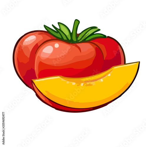 Red tomato vector illustration isolated on transparent Background fresh and healthy vegetable design