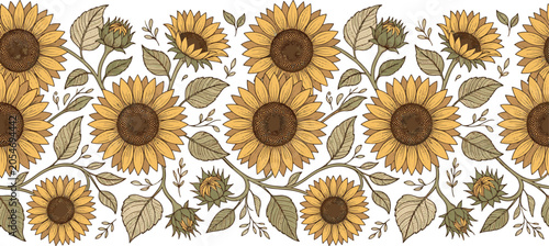 Seamless floral border pattern with detailed hand-drawn sunflowers and leaves sunflower seamless botanical ornamental decoration illustration backdrop agriculture textured composition