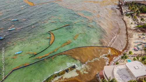 Aerial drone view of sargassum seaweed bloom on Playa del Carmen beach. Environmental problem showing brown sargazo algae accumulation on Mexican Caribbean coast.
