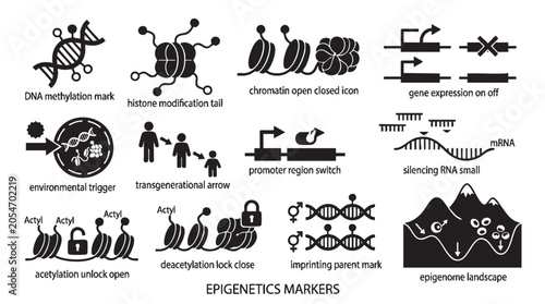 Epigenetics and gene regulation mechanism infographic icons for medical research.