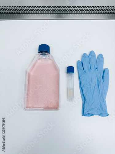 Laboratory cell culture flask and vial arranged next to blue glove
