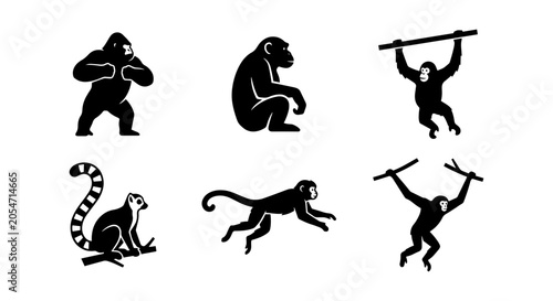 Photography Monkey icon set silhouette, white background