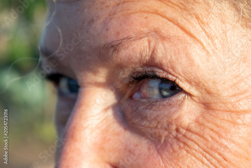 Primo piano espressivo dello sguardo e degli occhi azzurri di una donna anziana con pelle matura e rughe del tempo all'aperto