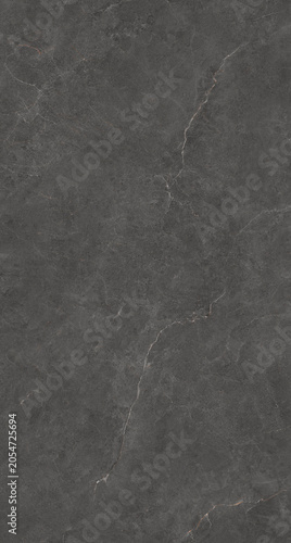 Elegant Natural Marble Background with Detailed Veining for Luxury Interior Design