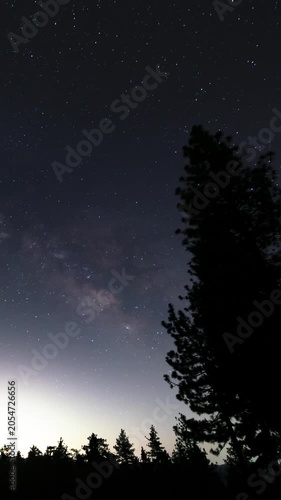 Vertical Shot of Milky Way Galaxy and Sunset in Southeast Sky Over Pine Trees Astrophotography Time Lapse California USA