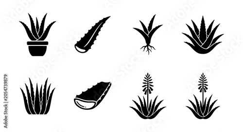 Aloe vera icon set, solid black silhouette, white background